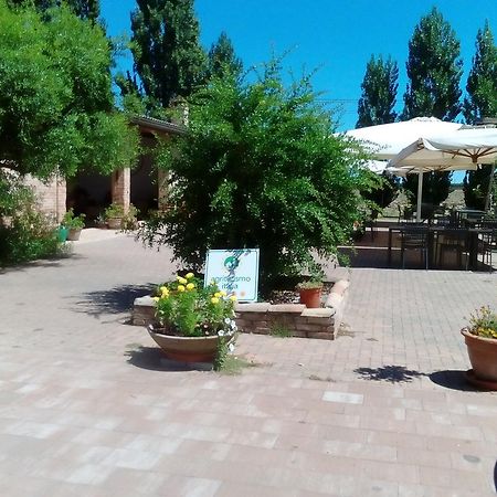 Agriturismo I Bosconi Cesena Dış mekan fotoğraf
